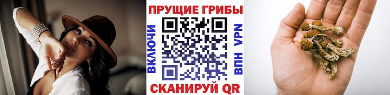 МЕГА зеркало  Тырныауз  Галлюциногенные грибы мухоморы  закладка 